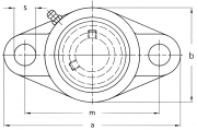 FL56207 SLF Fraureuth