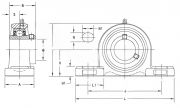 SPUCP207 FBJ