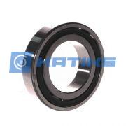 20208TN9 SKF