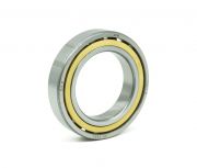71960ACDGAMA/P4A SKF