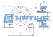 SYF17FM SKF