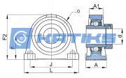 TSHE25-N-E55EB INA