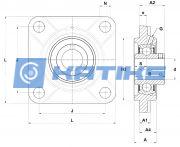 UCFS317D1 NTN