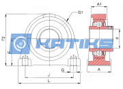 UCPA208 NIS