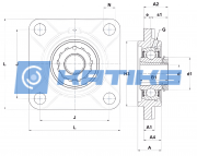 UKFS313D1 SNR